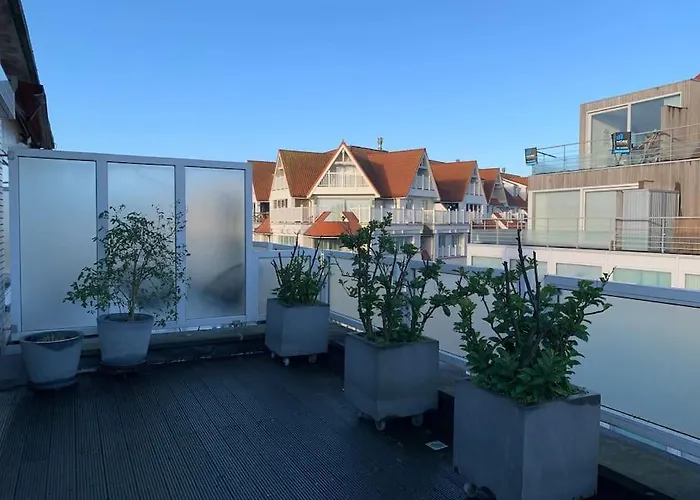 Beautiful Sunny Penthouse