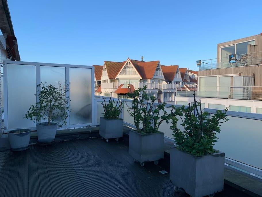 Beautiful Sunny Penthouse Apartment *
