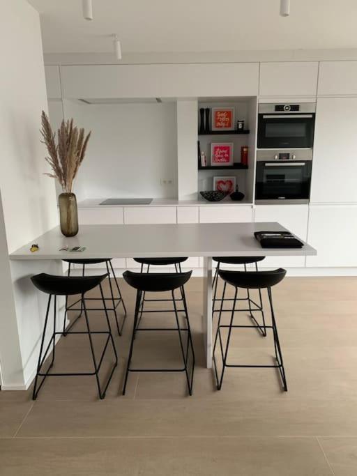 Beautiful Sunny Penthouse Apartment Knokke-Heist