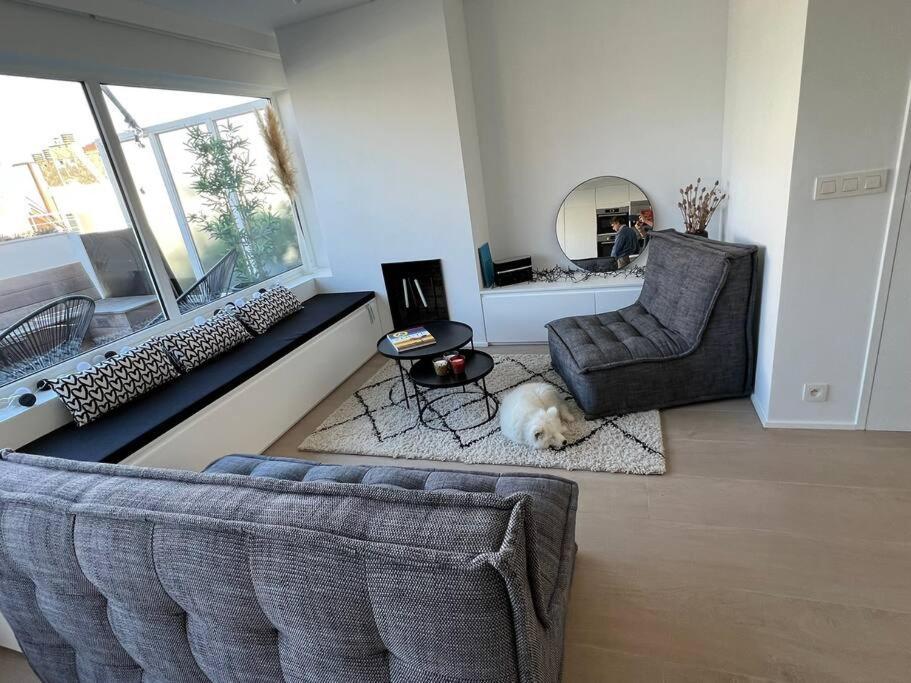 Beautiful Sunny Penthouse Apartment *